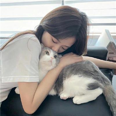 红狐