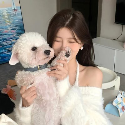 吹梦无踪